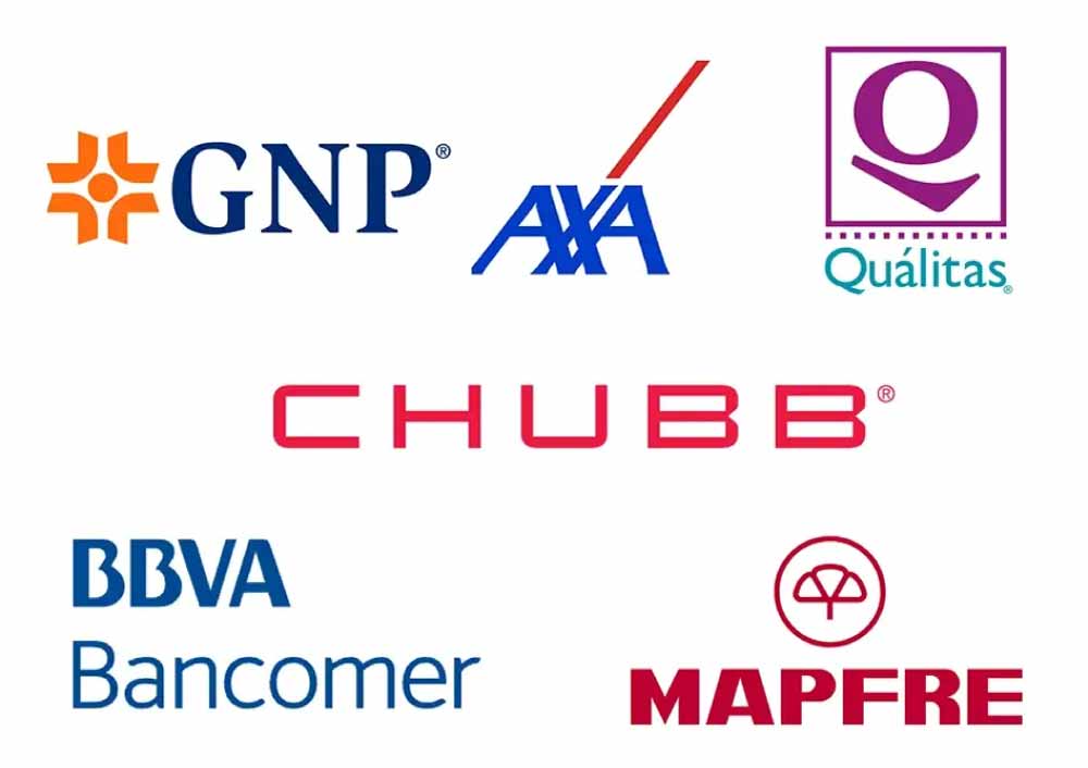 Mexican Insurance Carrier Partners