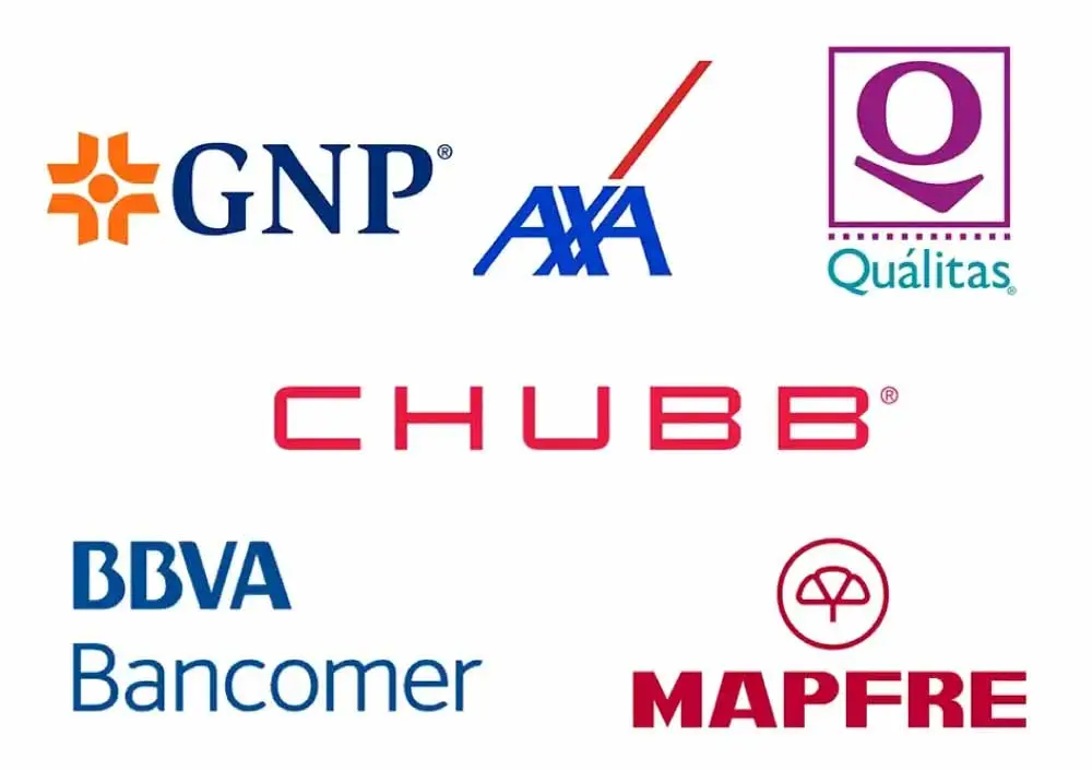Mexican Insurance Carrier Partners